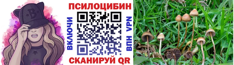 hydra ТОР  Тарко-Сале  Галлюциногенные грибы Magic Shrooms 